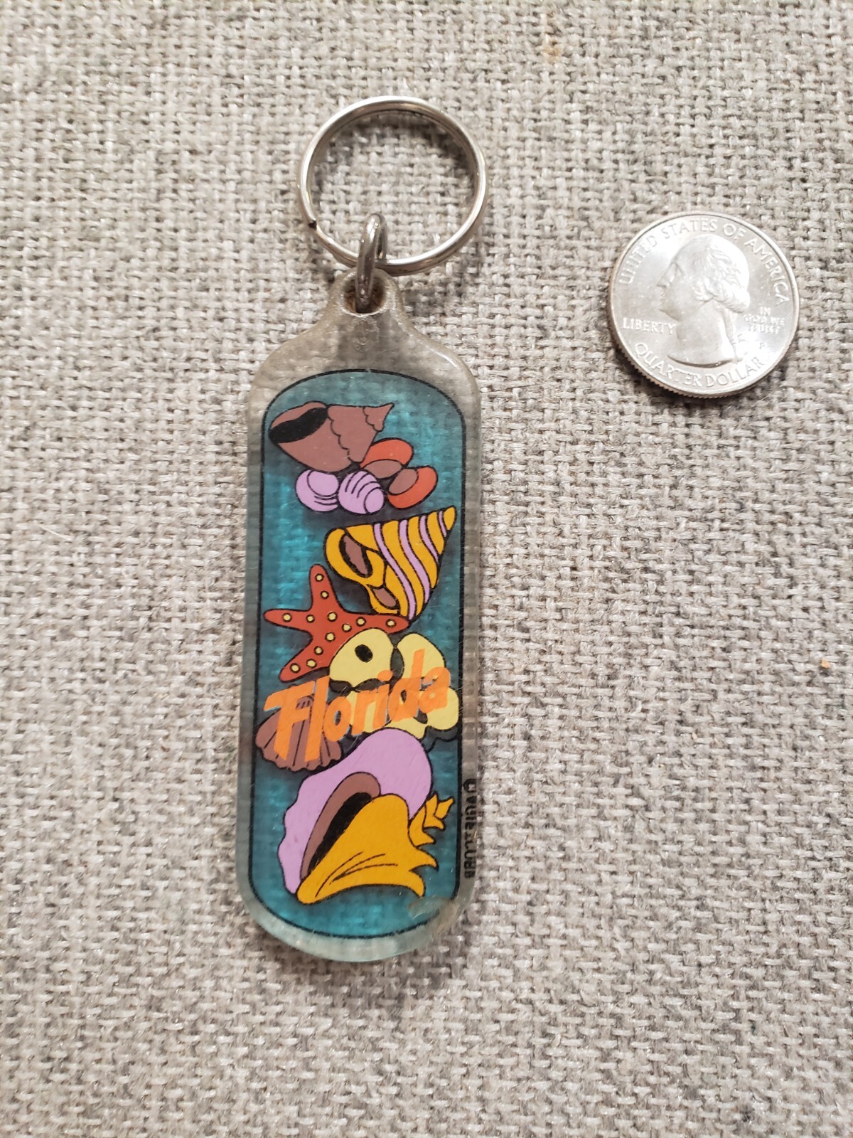 Florida Sea Shells Souvenir Key Ring | eBay