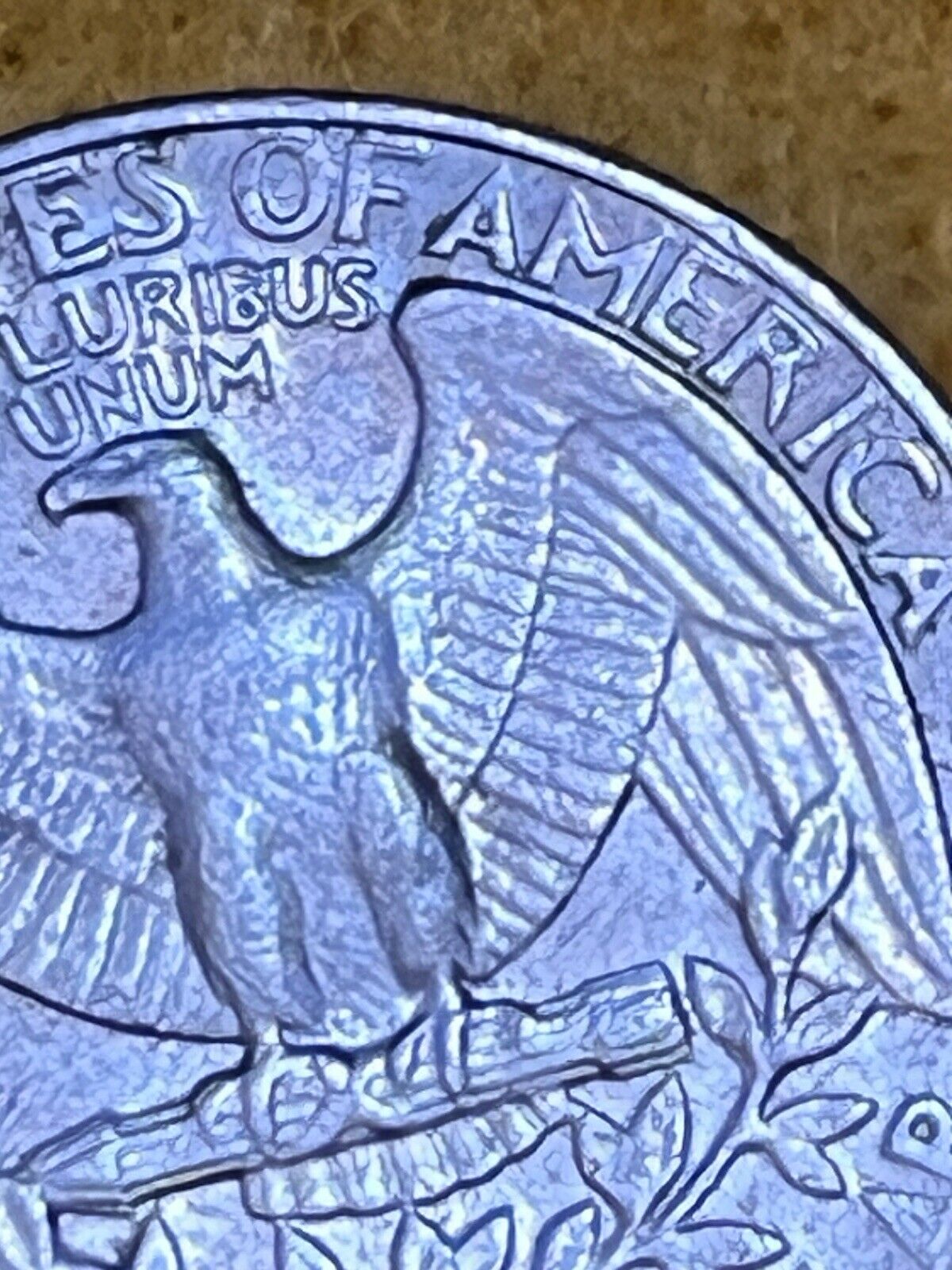 Picture 10 of 18