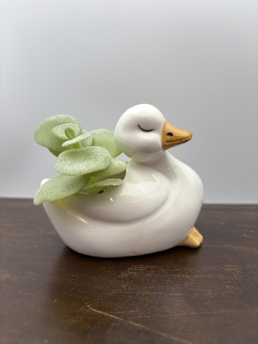 Ceramic Duck Planter Succulent Pot Animal Decor Cute Indoor Flower Planter Pot