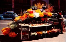 Vintage San Francisco Flower Stand Color Photo Postcard from Kodachrome
