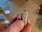 Confederate Whitworth Sniper Bullet field cast in Chancellorsville trench — photo 3