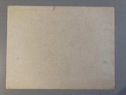 beau Dessin Eugene Ciceri XIXe mine De Plomb Arbre Barbizon École Paysage Art - Foto 8 di 9