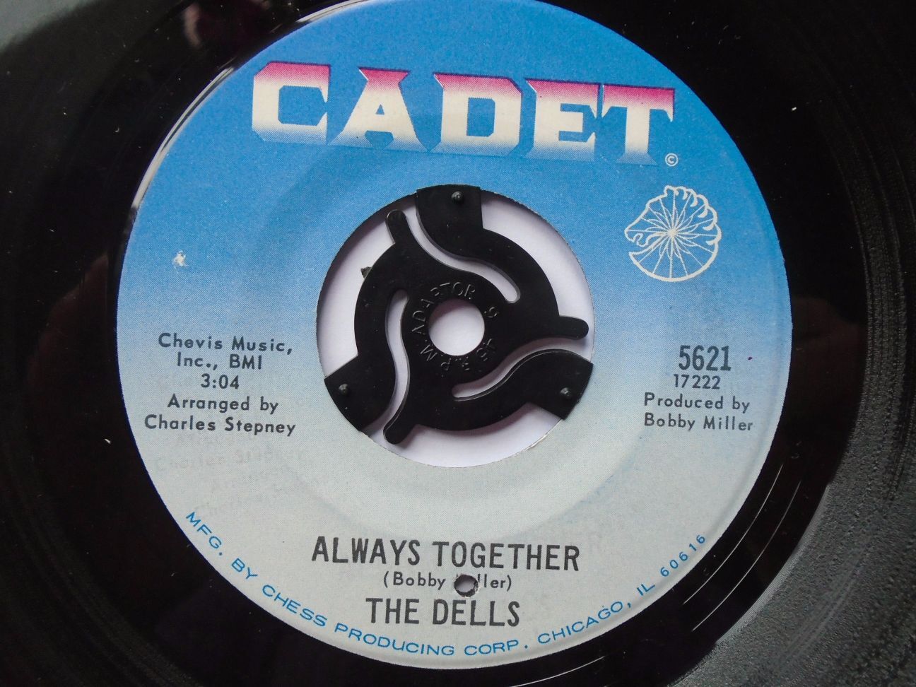 Dells Always Together 7