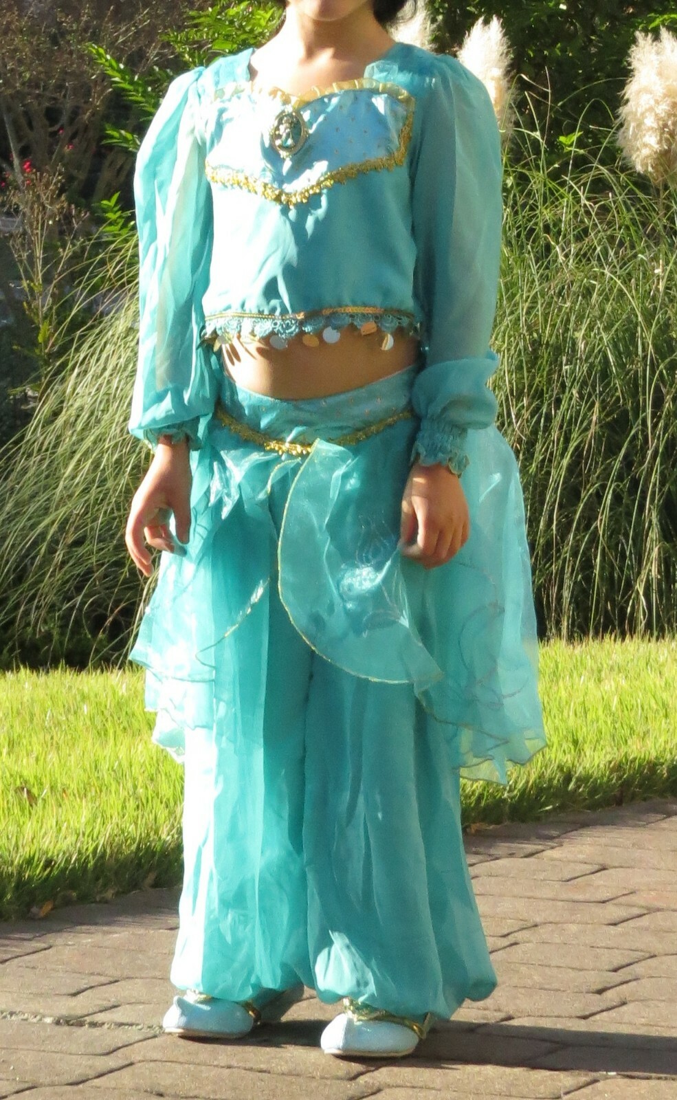 EUC Girls Jasmine (from Aladdin) Costume Pants & To… Gem