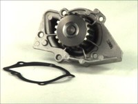 Thermotec Wasserpumpe FüR Suzuki Vitara Cabrio Grand CitroëN Berlingo