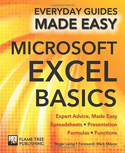 Microsoft Excel Basics: Expert Advice, Made Easy (Everyday Guide - Zdjęcie 1 z 1