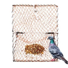 New Bird Trap Catcher Basket Quail Birds Cleave Garden Supplies Pigeon Hunting