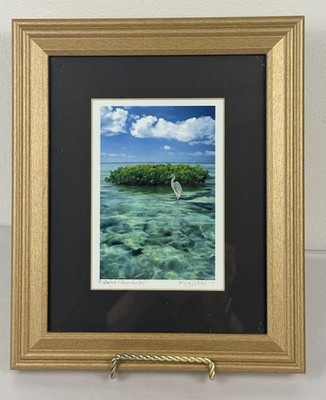 Key West White Egret Giclee Print Signed David Van Hulst Coastal Life Art 12x10 
