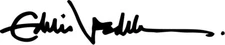 Eddie Vedder Autograph Signature VINYL DECAL STICKER rock pop grunge pearl jam