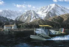 "World Cruisers" Douglas DT-2 Torpedo Bombers - Stan Stokes Aviation Print