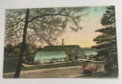 Vintage Postcard ~ Irwin Krohn Conservatory Eden Park ~ Cincinnati Ohio OH