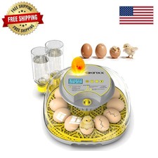 Luxury Egg Incubator: 12 Capacity, 360&deg; View, Automatic Temperature Control