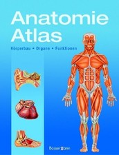 Anatomie-Atlas Körperbau . Organe . Funktion...