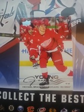 2025-26 Upper Deck Series 2 - Young Guns Michael Brandsegg-Nygard #492 (RC)