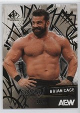 2025 SP Game Used AEW Gold 33/99 Brian Cage #54 17an