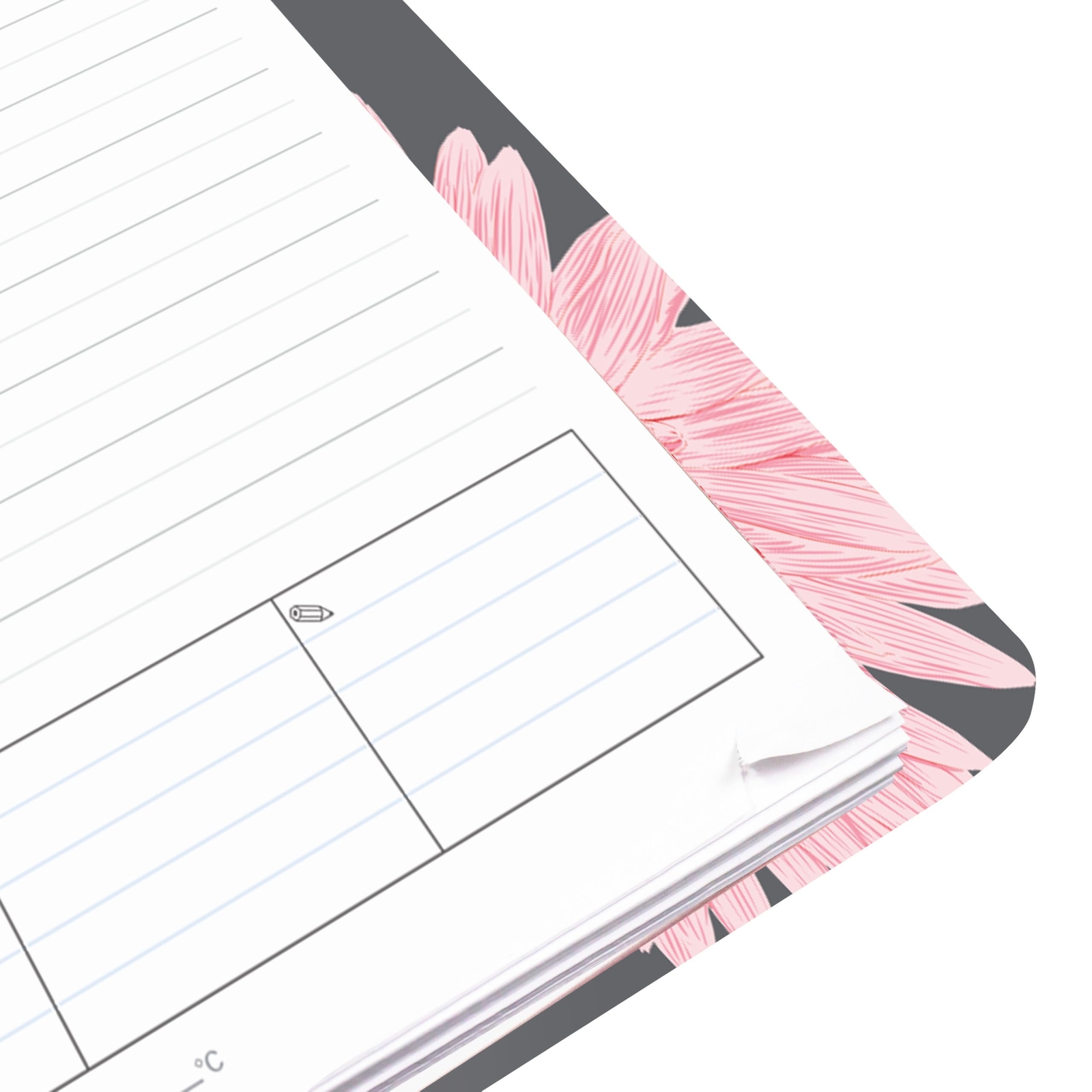 Brownline® 2025 Pink Essential Daily/Monthly Planner Appointment Book 12 Mont...