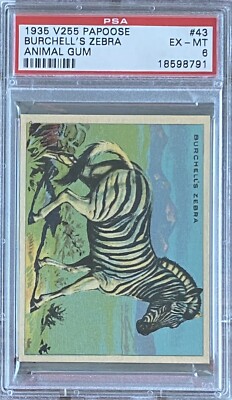 【レア】バステッド 1935 V255 Papoose Animal Gum #43 BURCHELL'S ZEBRA PSA 6 EX-MT | eBay