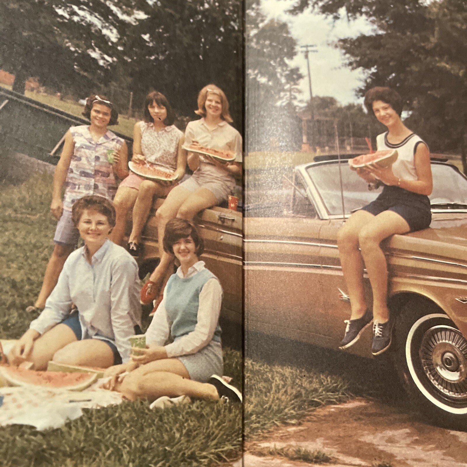 1965 Hammond Louisiana High school yearbook eBay