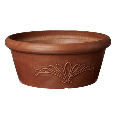 12-inch Terra Cotta Planter Bowl for Succulents and Herbs
