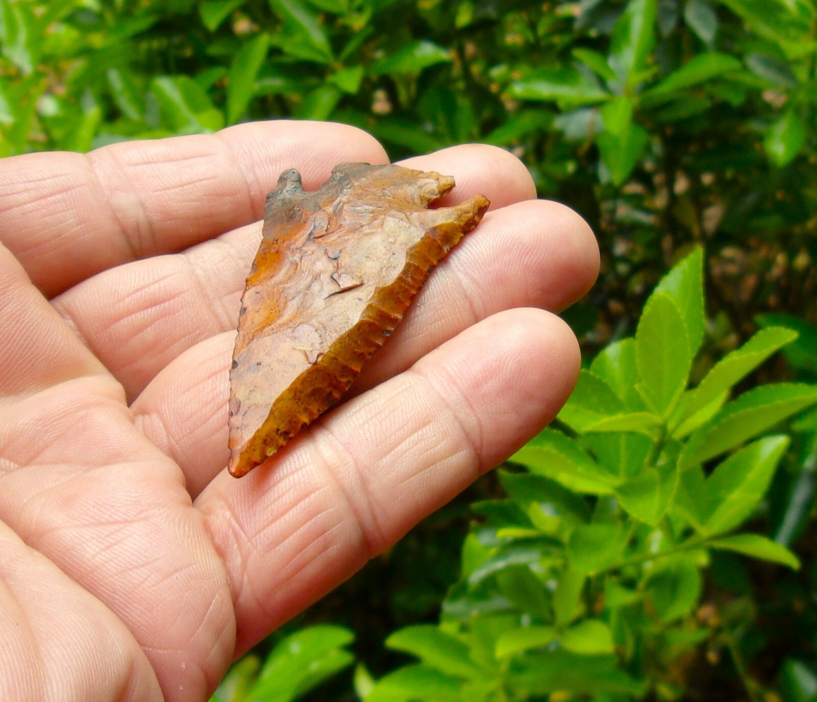 Beautiful! Lost Lake Florida artifact deep south arrowhead al