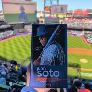 Juan Soto 40 30 Bobblehead | eBay