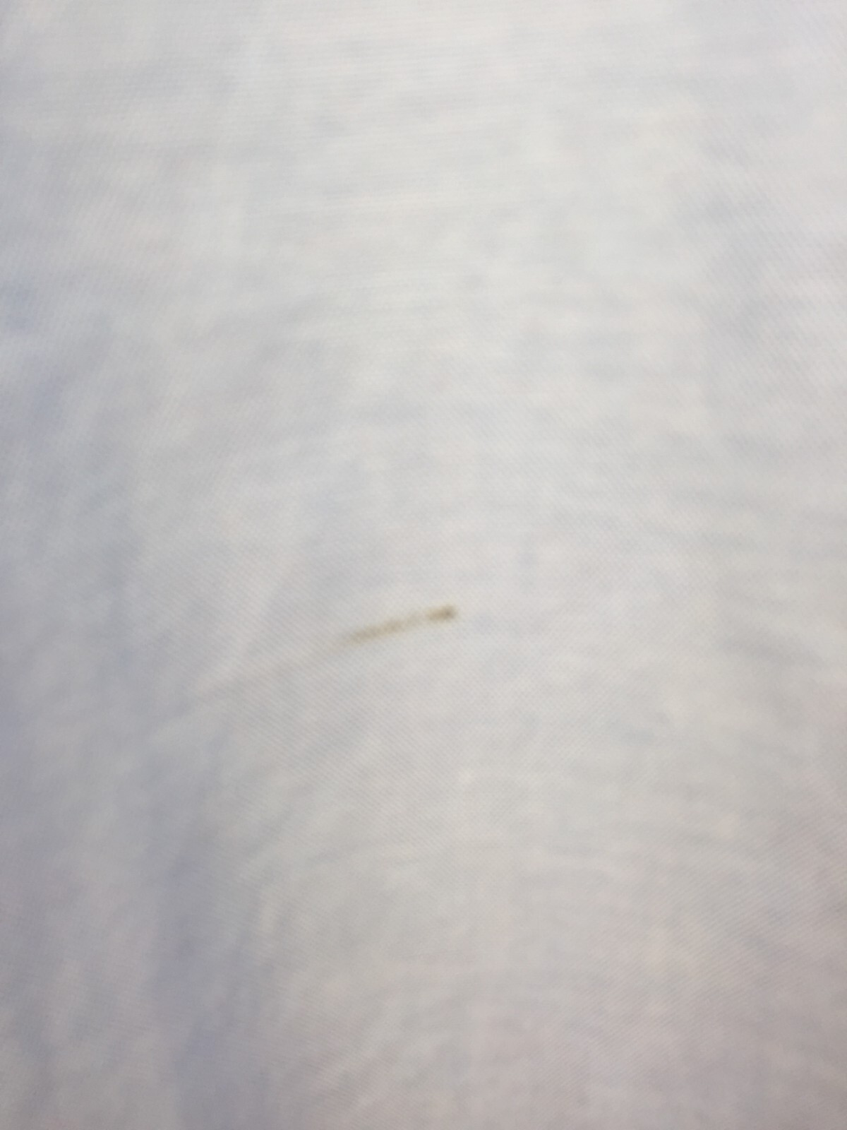 Debenhams Collection Blue Short Sleeve Formal Shirt 17.5" Collar CEG