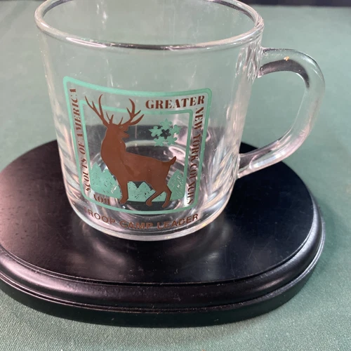 Luminare Glass Mug Cup Boy Scouts Of America Camp leader Made in USA 3,5’’