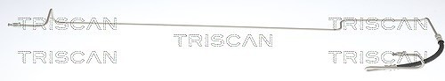 Triscan Bremsschlauch AußEn, Hinterachse, Links U.A. FüR Nissan, Renault-image
