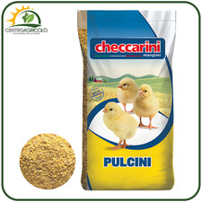 MANGIMEGALLINE PULCINI POLLI C300S SUPERPOLLO CHECCARINI PULCINI 1° PERIODO