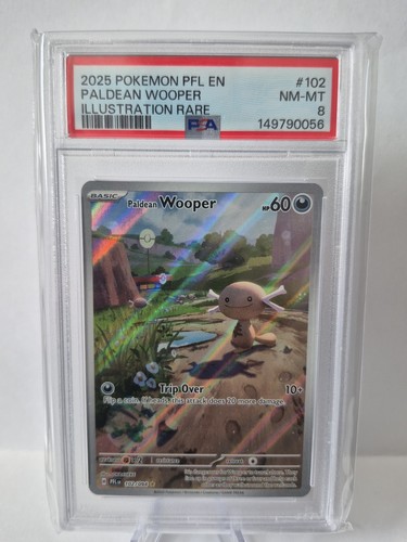 Paldean Wooper graded PSA 8 for sale on eBay