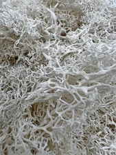 Bergamo Art 95g Preserved Reindeer Moss in White