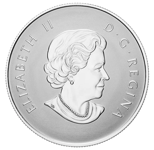 BABY FEET Welcome to the World 2019 CANADA 1/2oz .9999 Pure Silver $10 Coin - Image 3 of 4