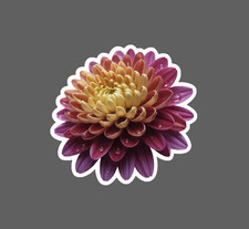 Chrysanthemum Sticker Waterproof Decal Flower Floral Nature Gift New Chrysanthemum Sticker Waterproof Decal Flower Floral Nature Gift New