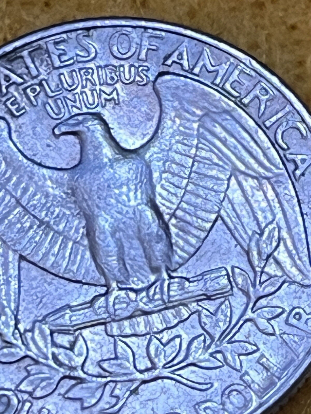 Picture 12 of 18