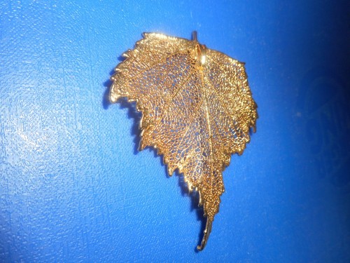 Image thumbnail 2
