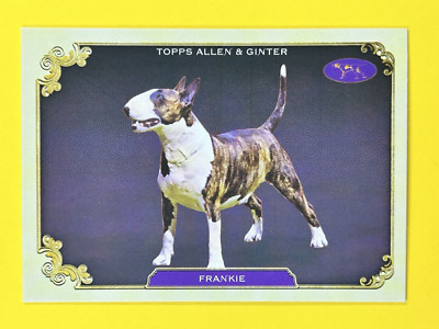 2024 Allen and Ginter Stars of the Show, Buzzin, and X-Rayd. Choose our Stock!!