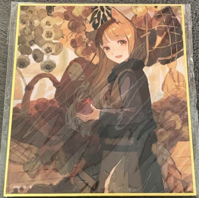 Japanese anime Spice and Wolf colored paper Holo