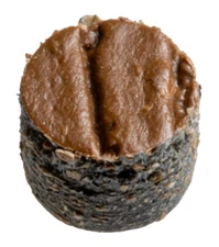 Simpson TRX100TH Deck-Drive DCU Screw Plug — Trex Tree House (375-Qty)