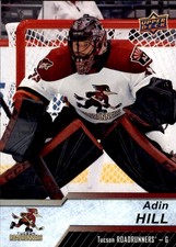 2018-19 Upper Deck AHL #49 Adin Hill - HKY