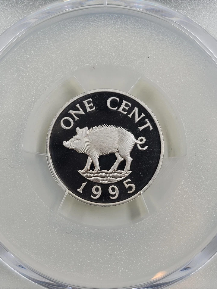 Bermudas 1995 1C PCGS PR70DCAM Foto 4 de 4