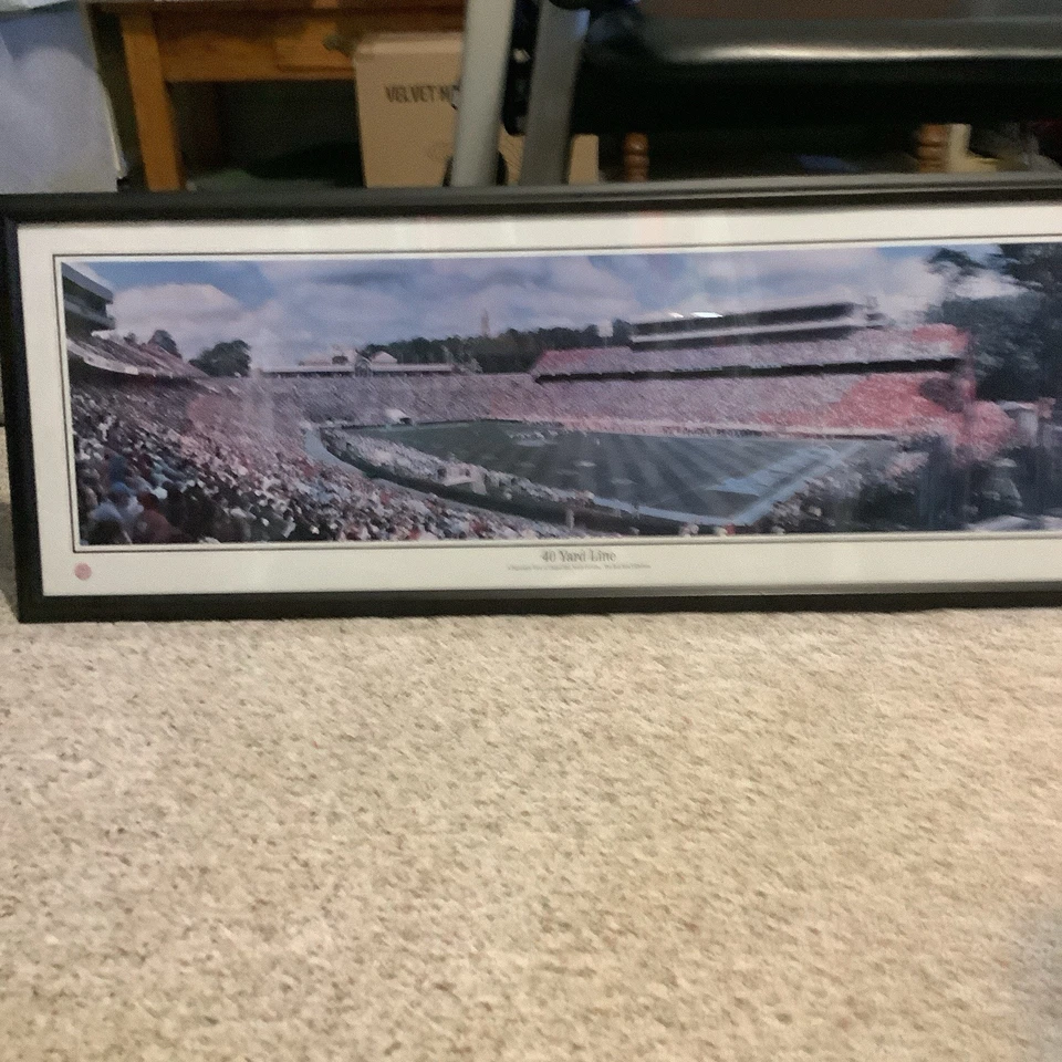 UNC Tar Heels Kenan Stadium Framed Photo, Panoramic, 15” X 42” - Image 2 of 4