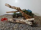 Bild 2 von 8