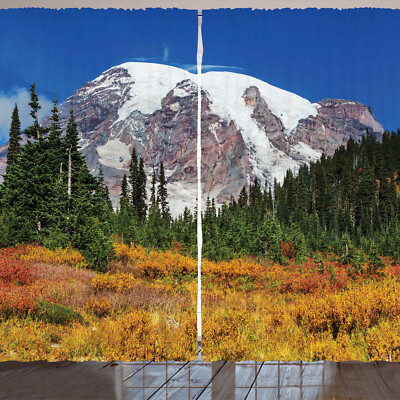 Mount Rainier Rustikale Gardine Natur Pflanzen Landschaft