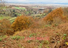 PHOTO  AUTUMN ON COPPETT HILL WITHIN THE WYE VALLEY AREA OF OUTSTANDING NATURAL