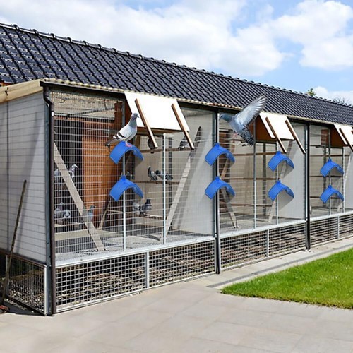 10-40 pièces support de repos pour oiseaux colombe pigeon cadre grill habitation pigeon perchoir fournitures - Photo 6/19