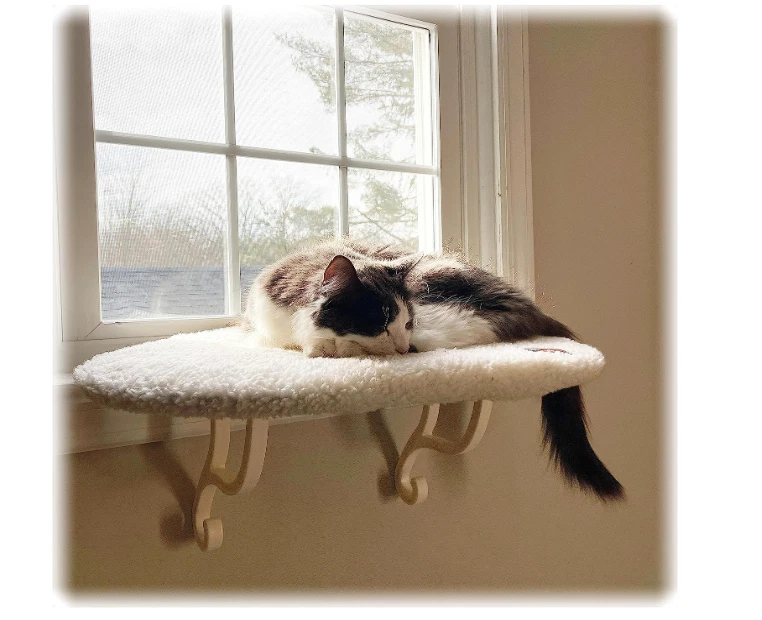 Cat window perch top for large cats
