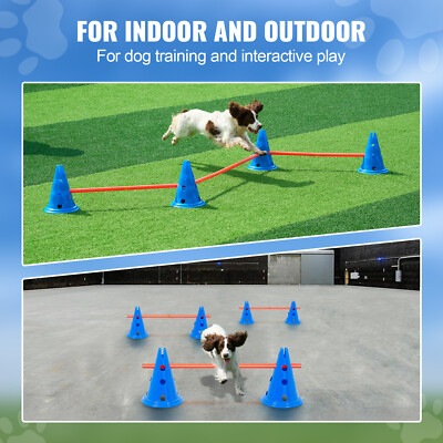 Dog Agility Aggressive Dog Training Outdoor Dog Agility Training