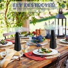 2x Fly Repellent Fan Portable Table Fly Fan Indoor Outdoor Fly Bug Deterrent Fan
