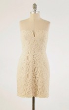 J.Crew Cathleen Strapless Sheath Dress in Leavers Lace Size 4 Cream
