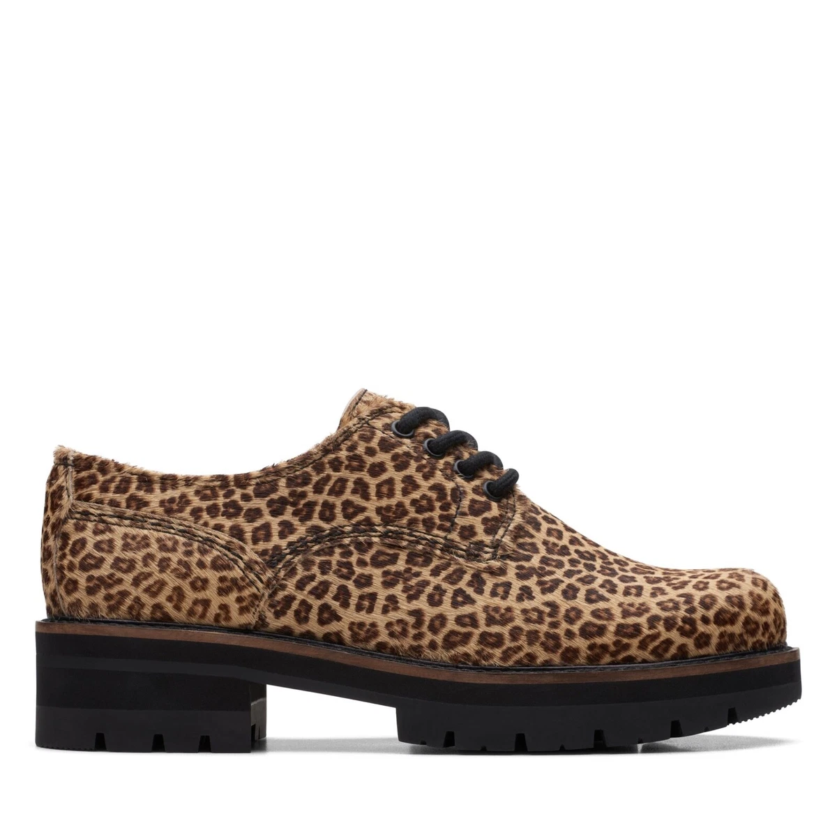 Derbies leopard sales